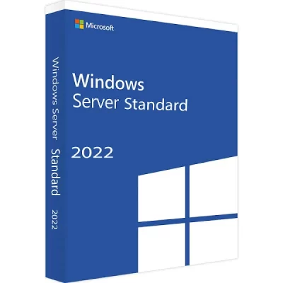Windows Server 2022 Standard Lisans Key