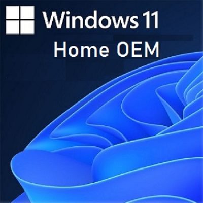 Windows 11 Home OEM Lisans Anahtarı